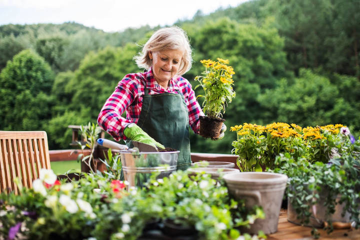 gardening