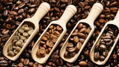 What is the difference between dark roast and light roast coffee