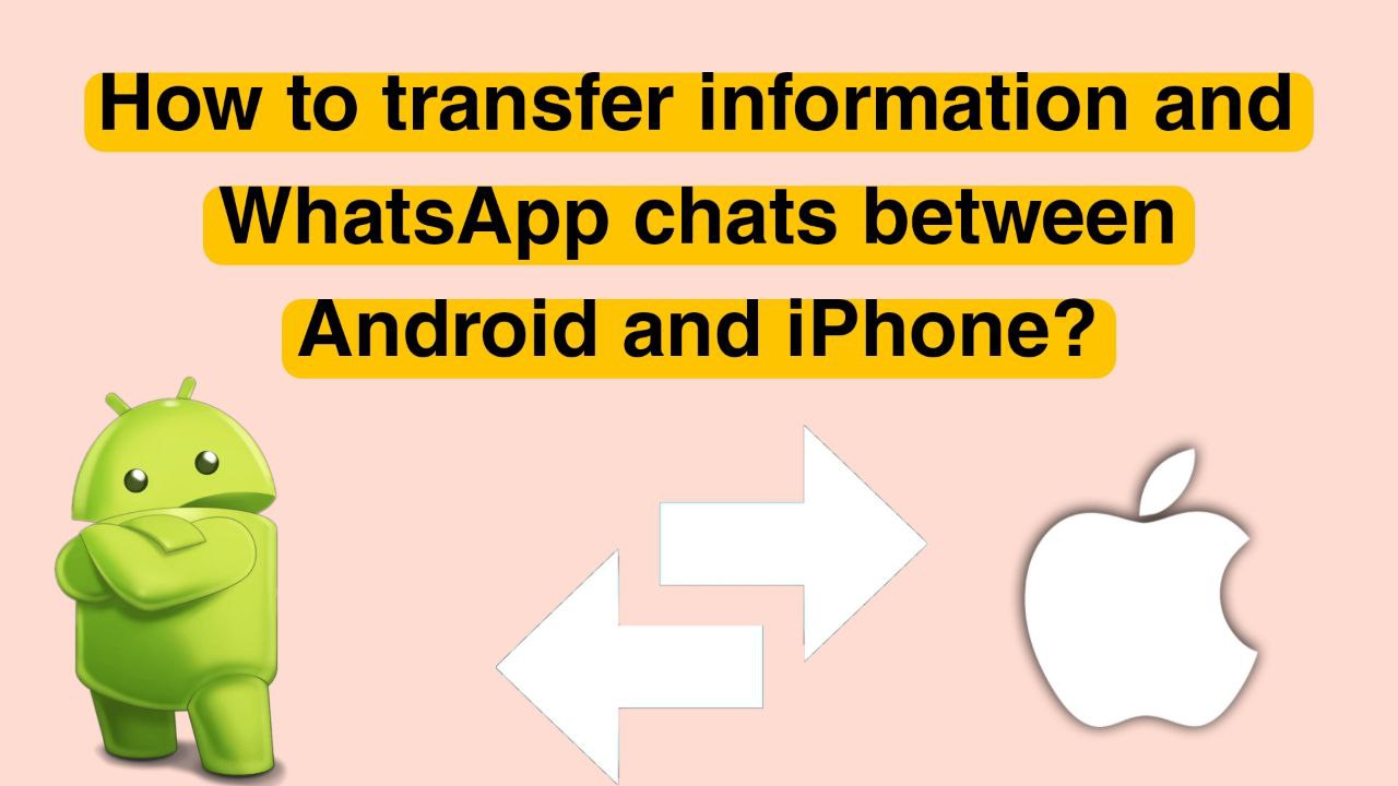 How to transfer information and WhatsApp chats between Android and iPhone?